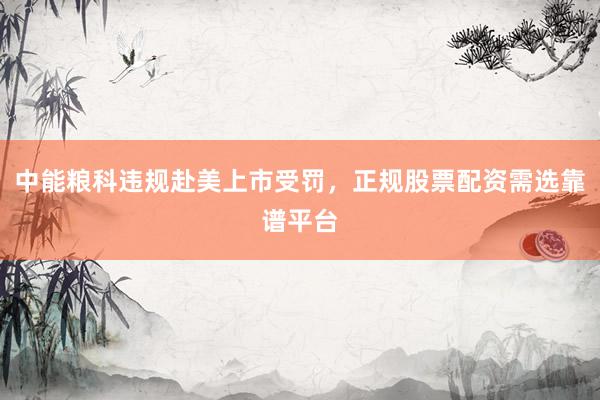 中能粮科违规赴美上市受罚，正规股票配资需选靠谱平台