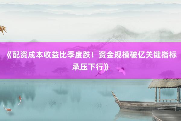 《配资成本收益比季度跌！资金规模破亿关键指标承压下行》