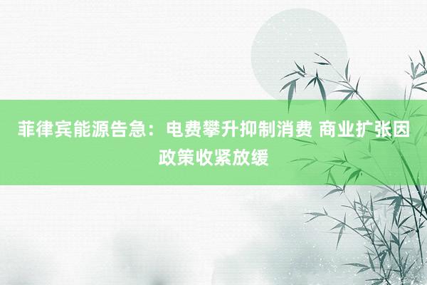 菲律宾能源告急：电费攀升抑制消费 商业扩张因政策收紧放缓
