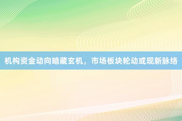 机构资金动向暗藏玄机，市场板块轮动或现新脉络