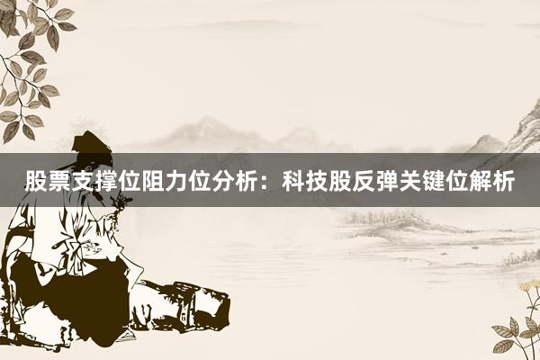 股票支撑位阻力位分析：科技股反弹关键位解析