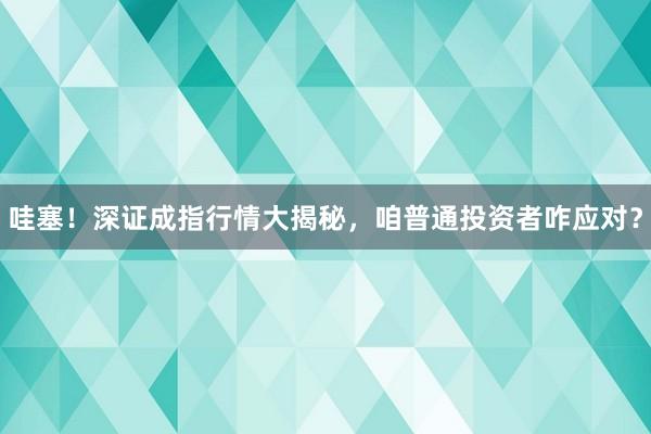 哇塞！深证成指行情大揭秘，咱普通投资者咋应对？