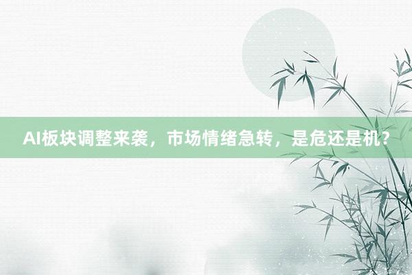 AI板块调整来袭，市场情绪急转，是危还是机？