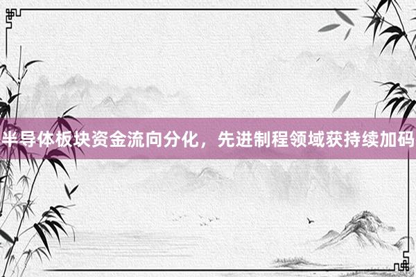 半导体板块资金流向分化，先进制程领域获持续加码