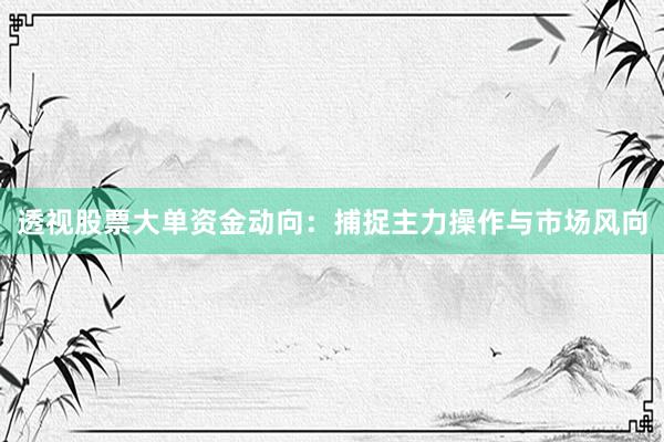透视股票大单资金动向：捕捉主力操作与市场风向