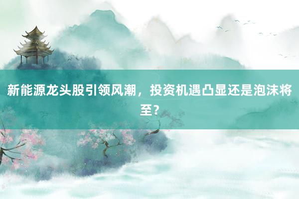 新能源龙头股引领风潮，投资机遇凸显还是泡沫将至？