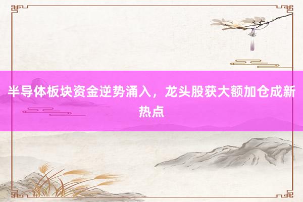 半导体板块资金逆势涌入,龙头股获大额加仓成新热点