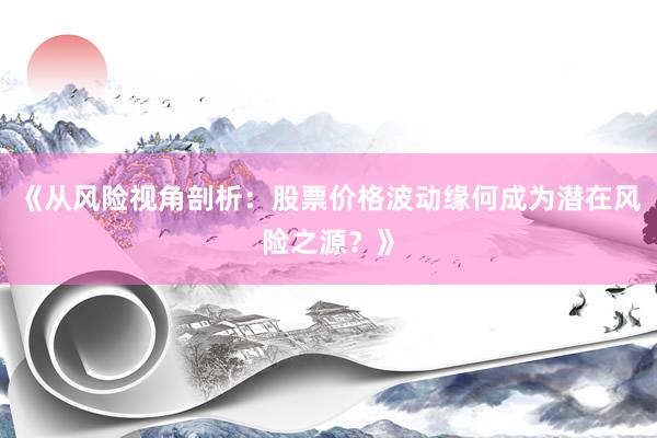《从风险视角剖析:股票价格波动缘何成为潜在风险之源?》