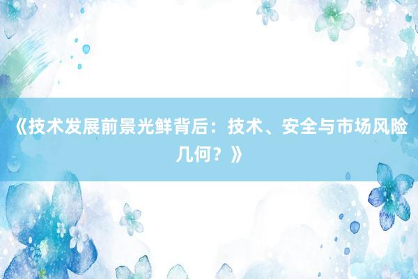 《技术发展前景光鲜背后：技术、安全与市场风险几何？》