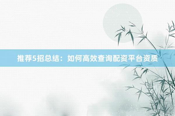 推荐5招总结：如何高效查询配资平台资质