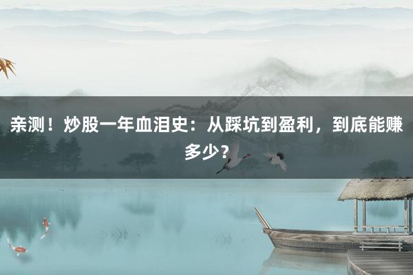 亲测!炒股一年血泪史:从踩坑到盈利,到底能赚多少?